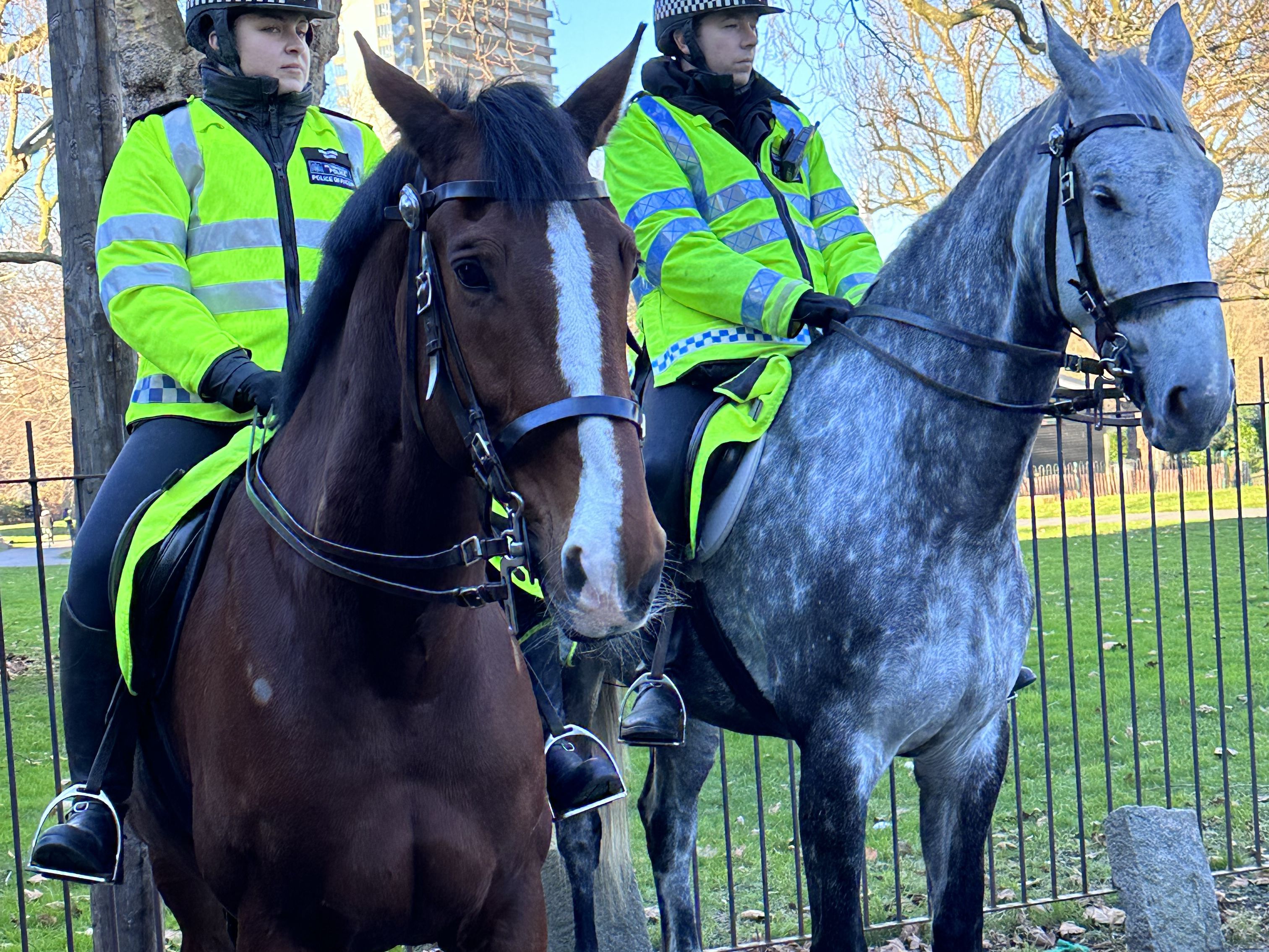 Visit from Police Horses and TSG
